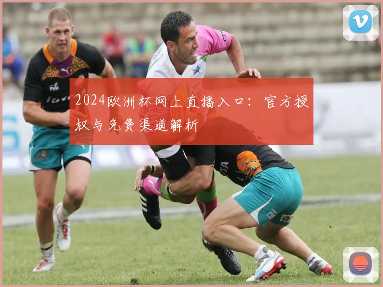 2024欧洲杯网上直播入口：官方授权与免费渠道解析
