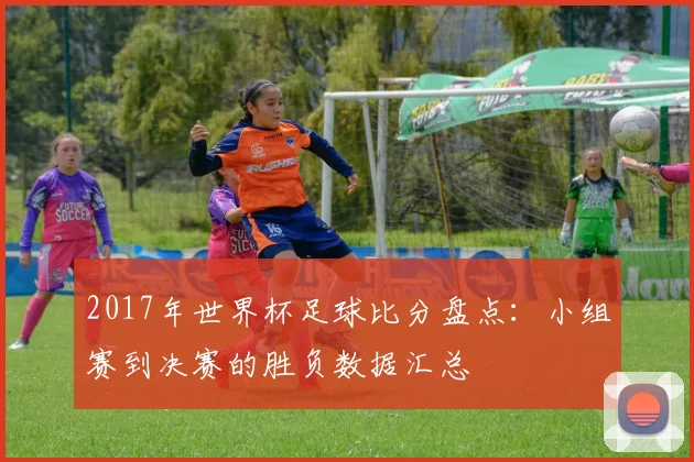 2017年世界杯足球比分盘点：小组赛到决赛的胜负数据汇总