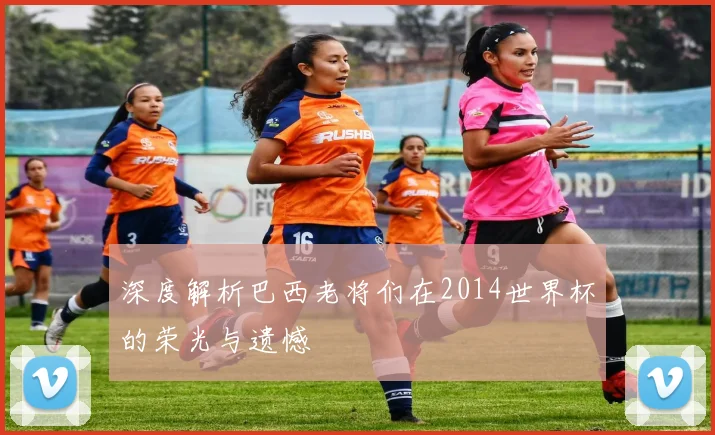 深度解析巴西老将们在2014世界杯的荣光与遗憾