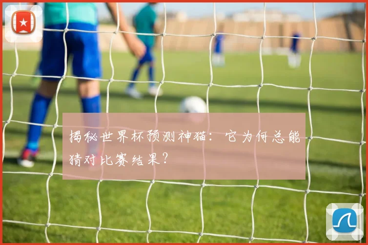 揭秘世界杯预测神猫：它为何总能猜对比赛结果？
