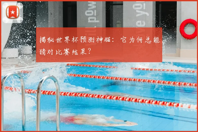 揭秘世界杯预测神猫：它为何总能猜对比赛结果？