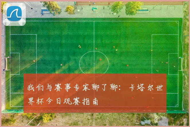 我们与赛事专家聊了聊：卡塔尔世界杯今日观赛指南