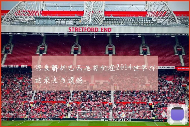 深度解析巴西老将们在2014世界杯的荣光与遗憾