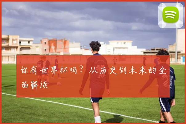 你有世界杯吗?从历史到未来的全面解读