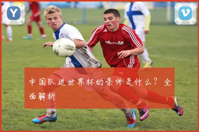 中国队进世界杯的条件是什么？全面解析