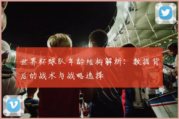 世界杯球队年龄结构解析：数据背后的战术与战略选择